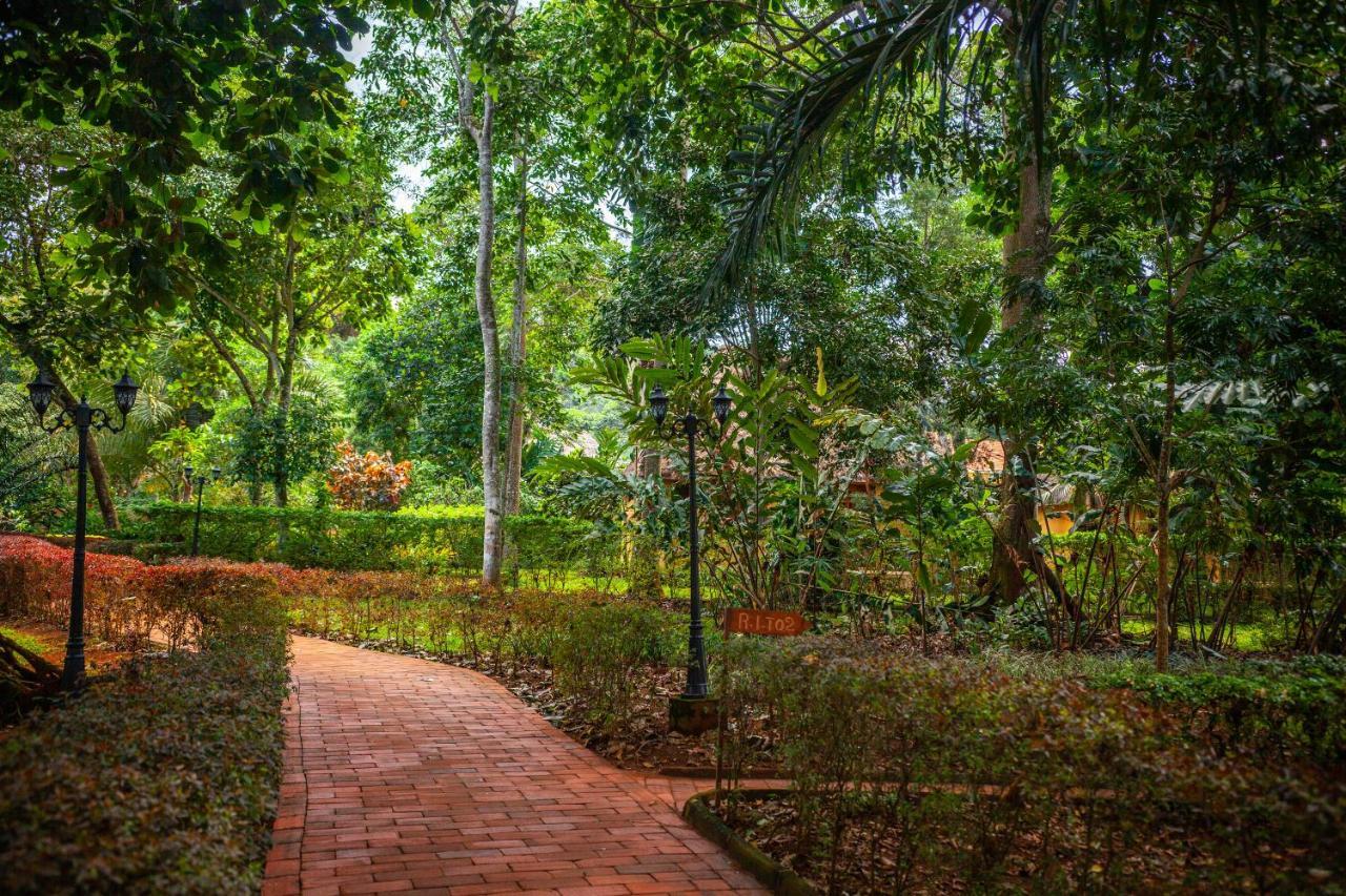 Brovad Sands Lodge Kalangala Exterior foto
